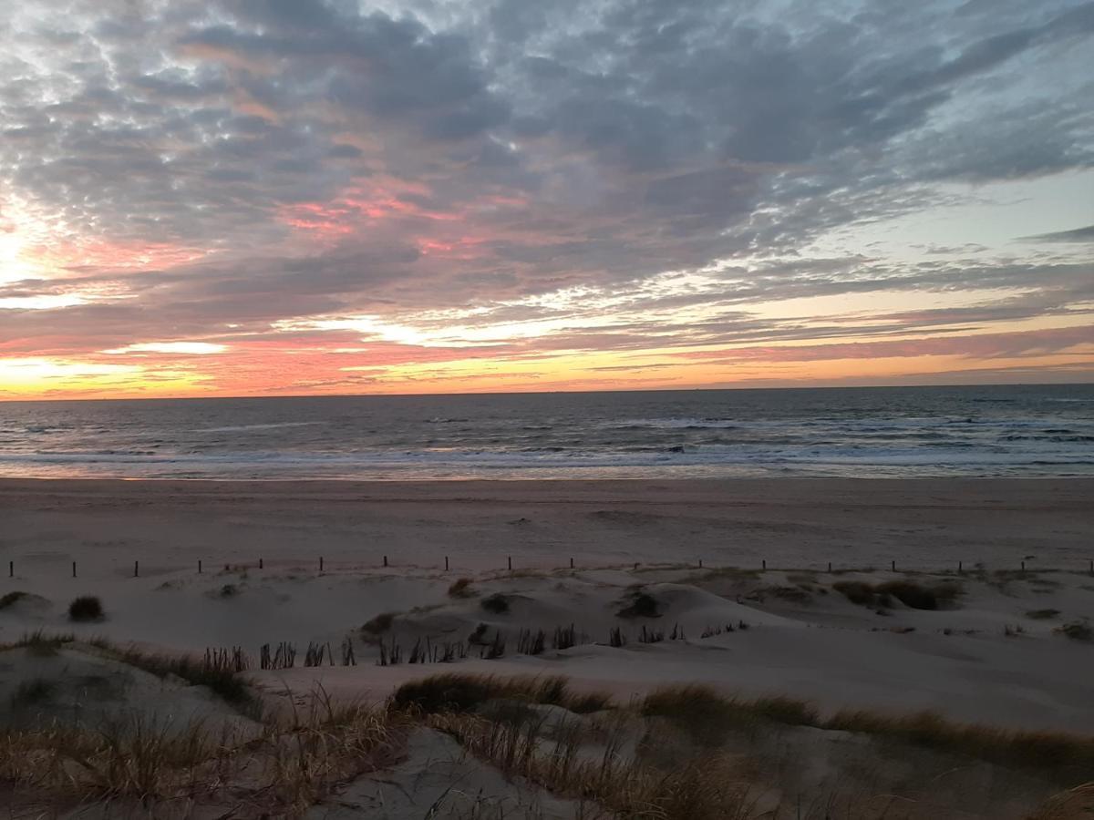 Boshuisje Petten Aan Zee Eksteriør bilde